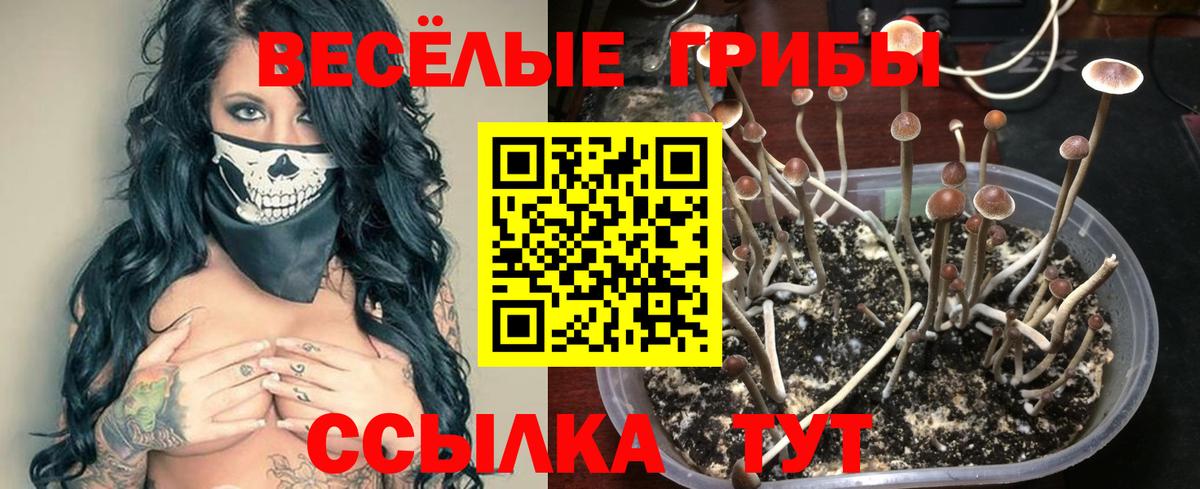 Минеральные Воды  Галлюциногенные грибы Cubensis  Вход с VPN  Псилоцибиновые грибы мухоморы 